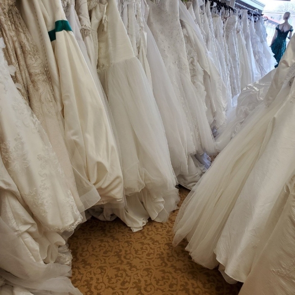 Attention brides to be: Advertisement Only - Picture 5 of 6